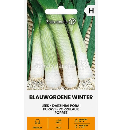 PURAVI BLAUWGROENE WINTER (FORREST)