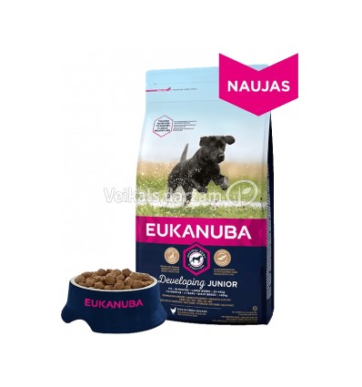 EUKANUBA JUNIOR (12–24 MĒNEŠI) LARGE BREED 15 KG KUCĒNIEM