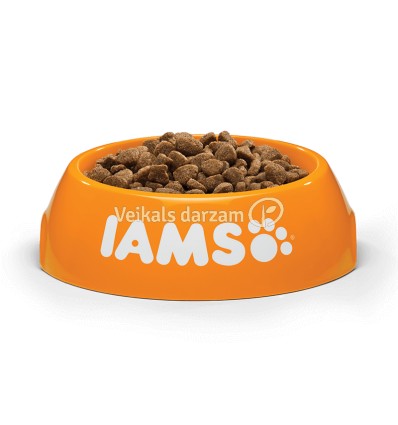 IAMS KITTEN & JUNIOR CHICKEN 3 KG KAĶĒNIEM AR VISTU