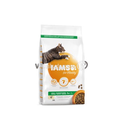 IAMS ADULT CAT CHICKEN 10 KG AR VISTU KAĶIEM