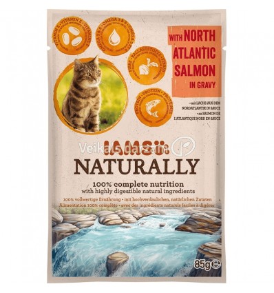 IAMS CAT NORTH ATLANTIC SALMON 85 G KAĶIEM