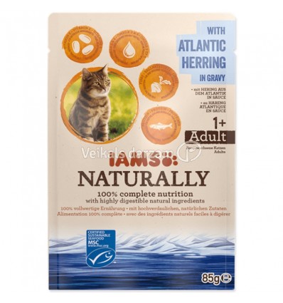 IAMS CAT WITH ATLANTIC HERRING IN GRAVY 85 G KAĶIEM