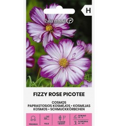 KOSMEJAS  FIZZY ROSE PICOTEE