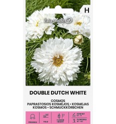 KOSMEJAS  DOUBLE DUTCH WHITE