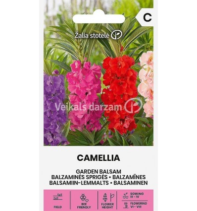 BALZAMĪNES CAMELLIA