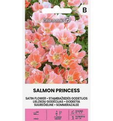 LIELZIEDU GODĒCIJAS SALMON PRINCESS