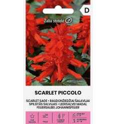 SPILGTĀS SALVIJAS SCARLET PICCOLO