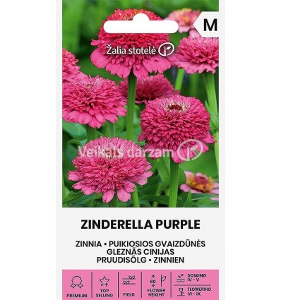 CINNIJAS GLEZNĀS ZINDERELLA PURPLE