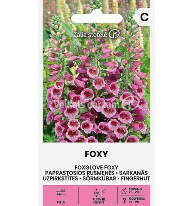 UZPIRKSTĪTES PARASTĀS FOXY MIX