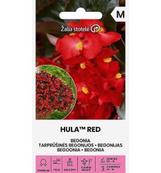 BEGONIJAS HULA™ RED