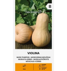 MUSKATA ĶIRBIS VIOLINA