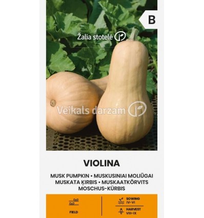 MUSKATA ĶIRBIS VIOLINA