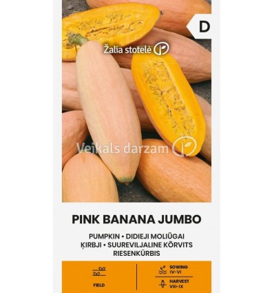 ĶIRBJI PINK BANANA JUMBO