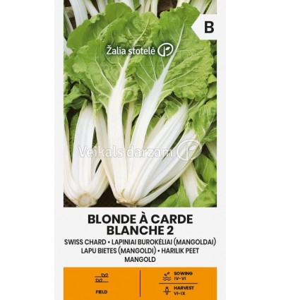 LAPU BIETES BLONDE A CARDE BLANCHE 2