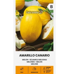 MELONES AMARILLO CANARIO