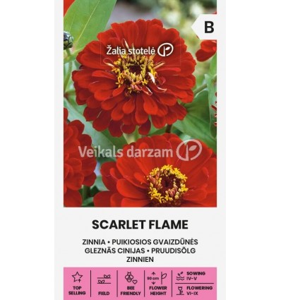 GLEZNĀS CINIJAS SCARLET FLAME