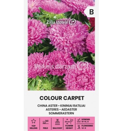 ASTERES COLOUR CARPET