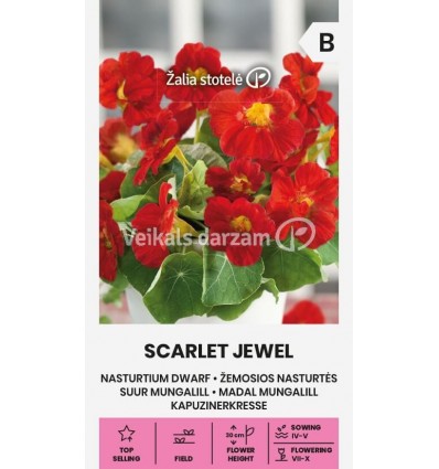 SUUR MUNGALILL SCARLET JEWEL