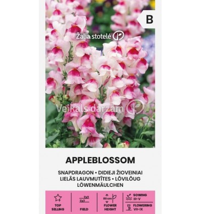 LIELĀS LAUVMUTĪTES APPLEBLOSSOM