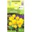 TULPES YELLOW BABY 482376