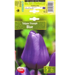 TULPES BLUE