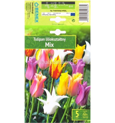 TULPES MIX LILIOKSZTAŁTNY