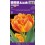 TULPES MONTE FLAME