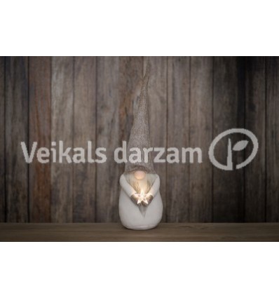 RŪĶIS AR LED 627287 69CM PELĒKS