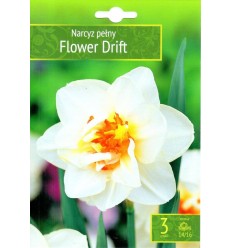 NARCISES FLOWER DRIFT