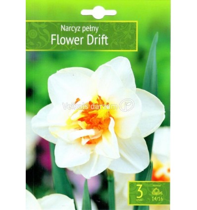 NARCISES FLOWER DRIFT