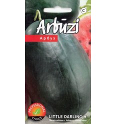 ARBŪZS LITTLE DARLING H