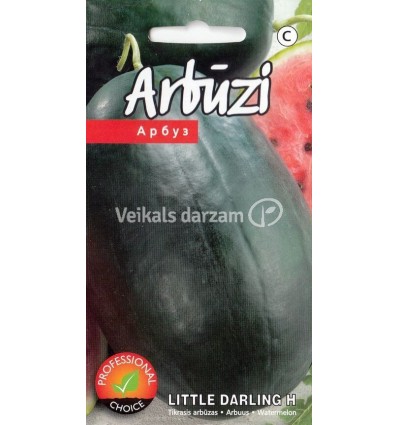 ARBŪZS LITTLE DARLING H