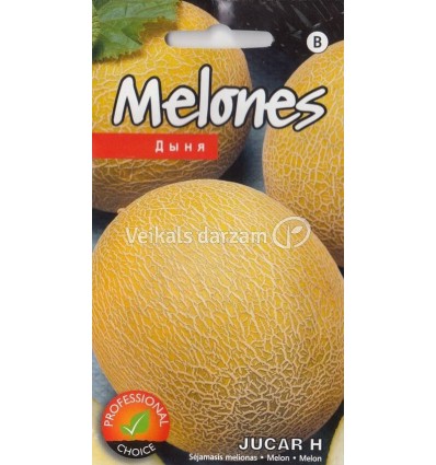 MELONE JUCAR H