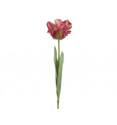 MĀKSLĪGĀ TULPE 800214 68CM