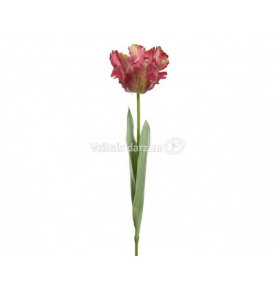 MĀKSLĪGĀ TULPE 800214 68CM