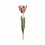 MĀKSLĪGĀ TULPE 800216 68CM