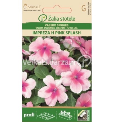 SPRIGANES VALERO IMPREZA H PINK SPLASH