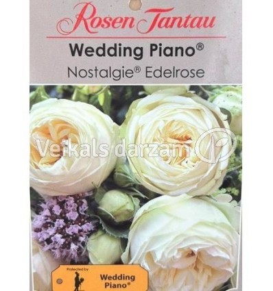 LIELZIEDU ŠĶIRNES ROZE WEDDING PIANO®