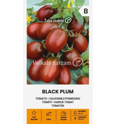 TOMĀTI BLACK PLUM