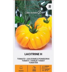 TOMĀTI LACITRINE H