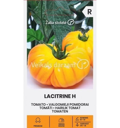 TOMĀTI LACITRINE H