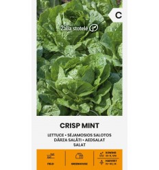 DĀRZA SALĀTI CRISP MINT