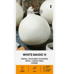 SĪPOLI WHITE MAGIC H