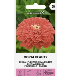 ZINNIA CORAL BEAUTY