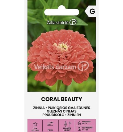 ZINNIA CORAL BEAUTY