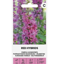 VĒJMIETIŅI I RED HYBRIDS