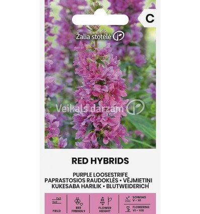 VĒJMIETIŅI I RED HYBRIDS