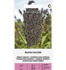 PARASTAIS SORGO I BLACK FALCON