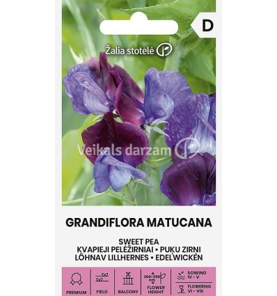 PUĶU ZIRŅI | GRANDIFLORA MATUCANA