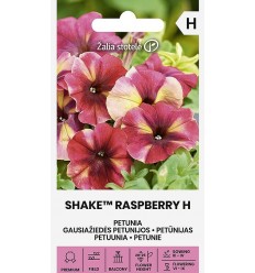 PETŪNIJAS |SHAKE™ RASPBERRY H